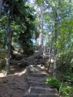 Resize of Talpa 007.jpg